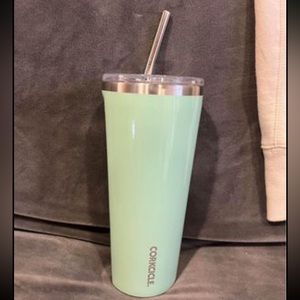 Corksicle Mint Green Tumbler w/ 2 metal straws